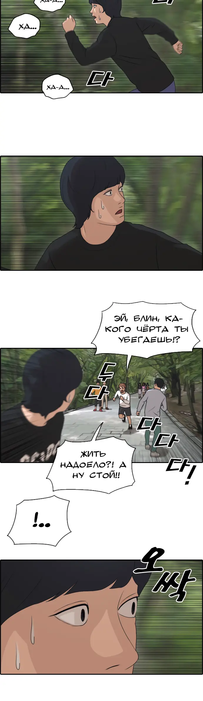 Страница 17