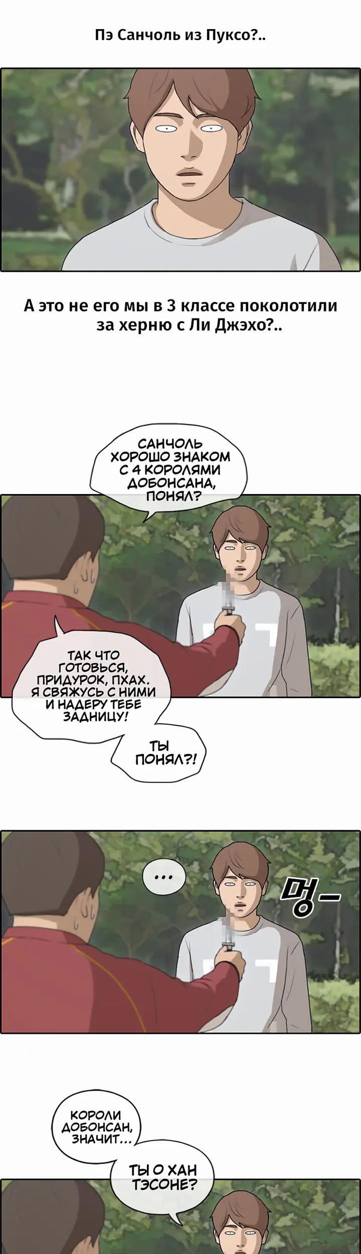 Страница 13