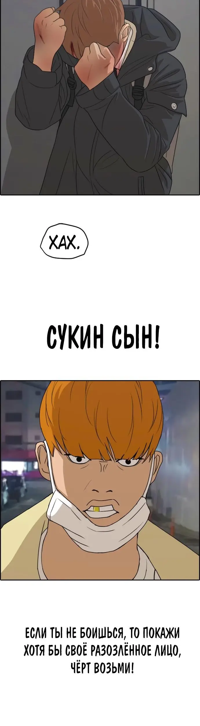 Страница 31