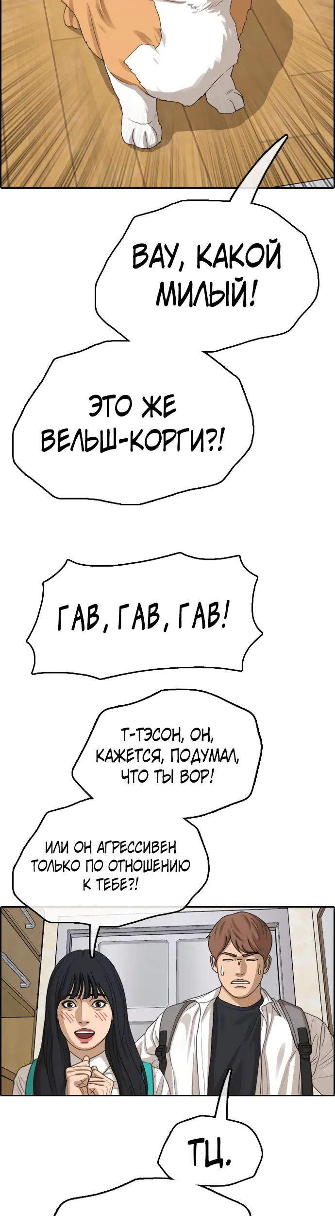 Страница 5