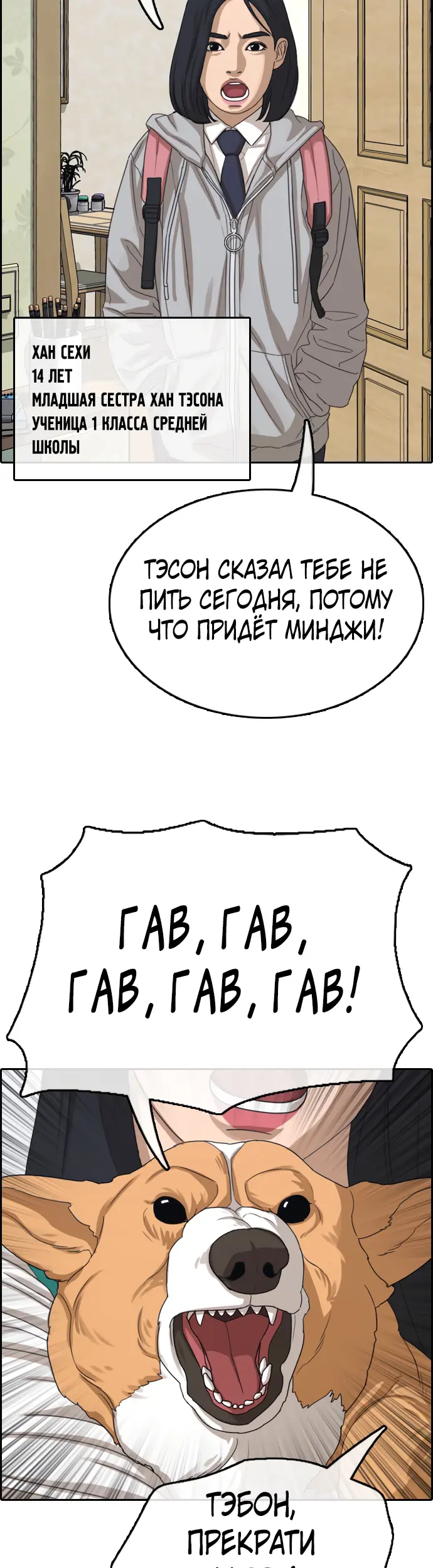 Страница 12