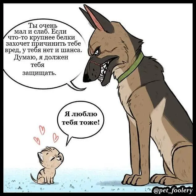 Страница 5