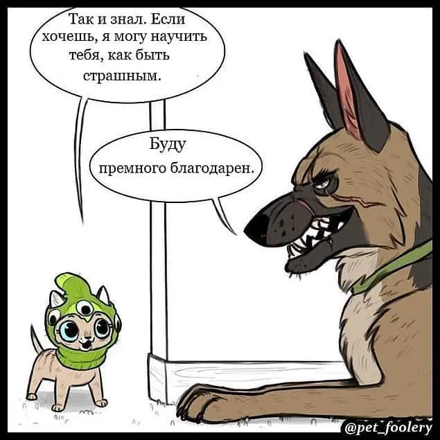 Страница 7