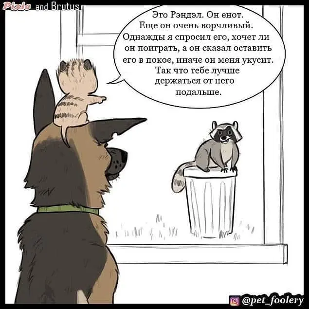 Страница 4