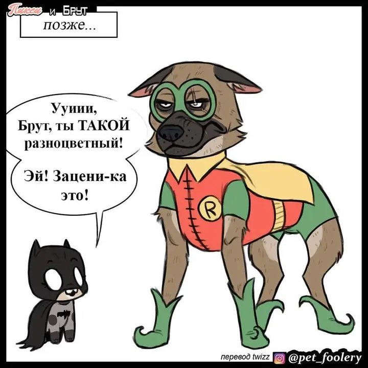 Страница 5