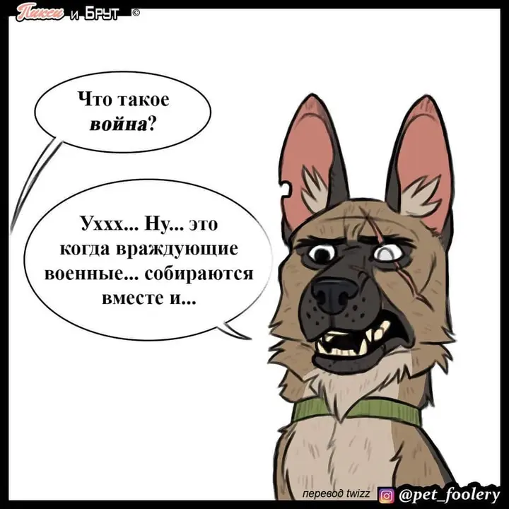 Страница 3