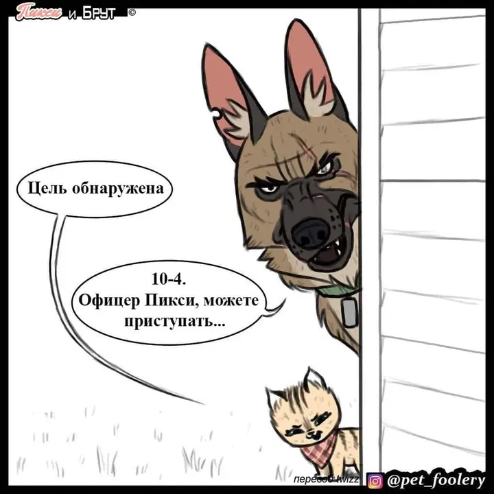 Страница 1