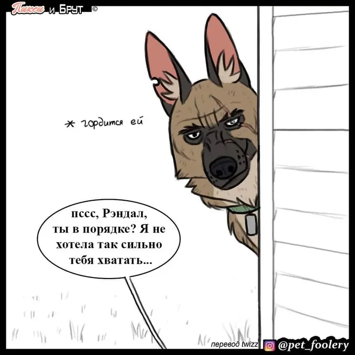 Страница 8