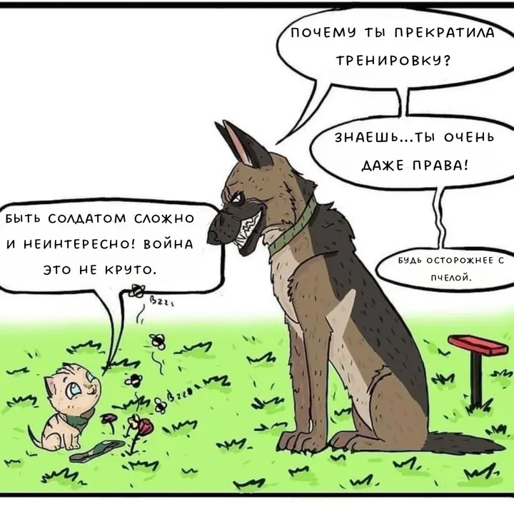 Страница 6