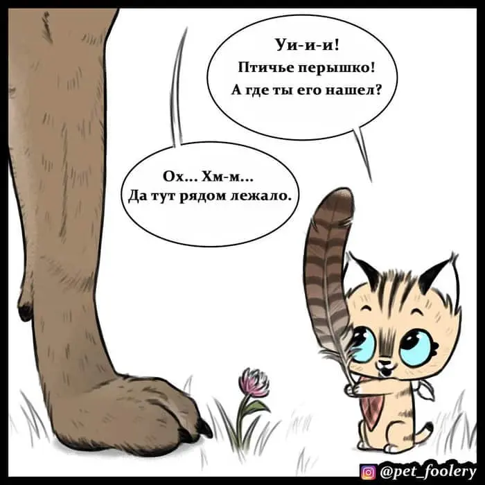 Страница 6