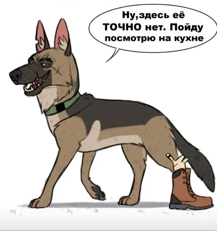 Страница 6