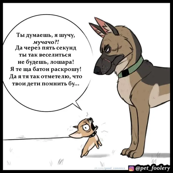 Страница 3