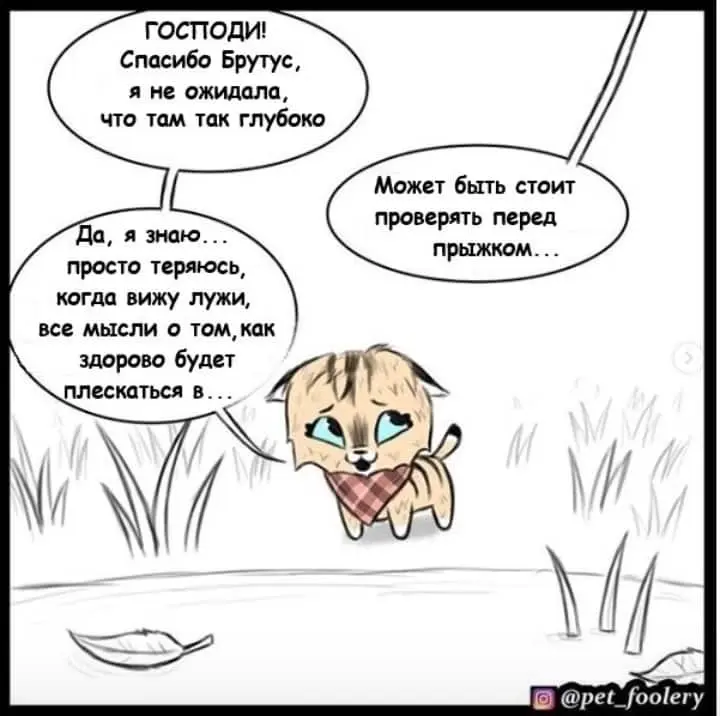 Страница 5
