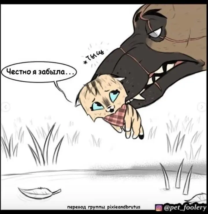 Страница 8