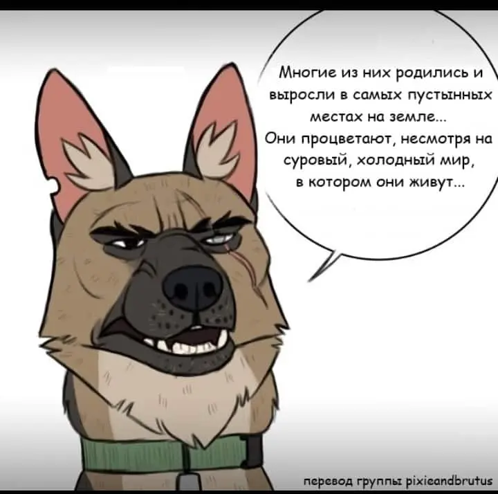 Страница 4