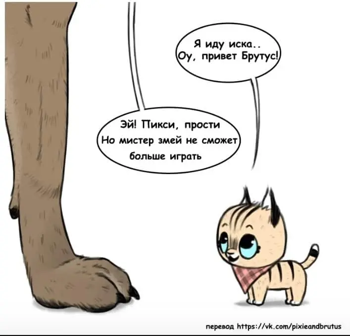 Страница 7