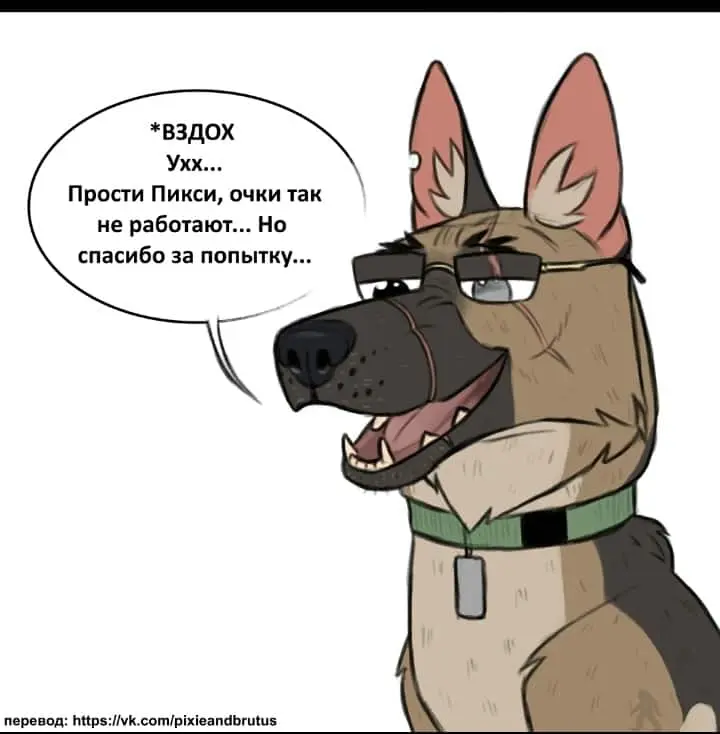 Страница 5