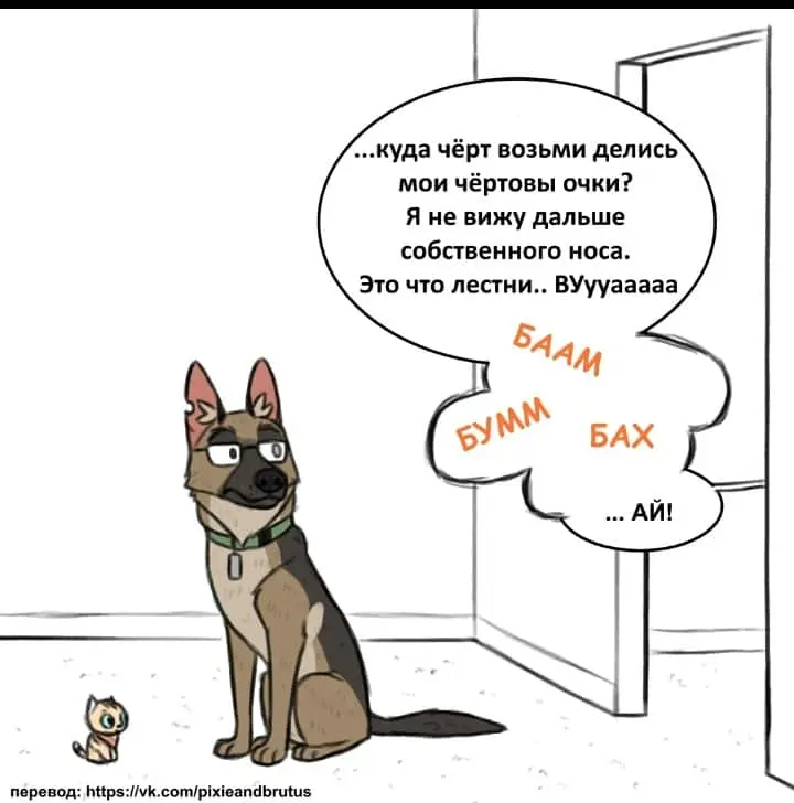 Страница 6