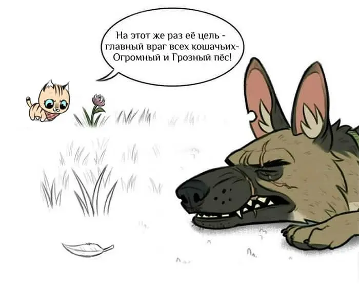 Страница 5