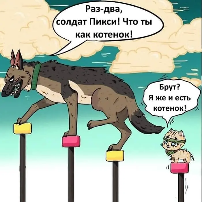 Страница 5