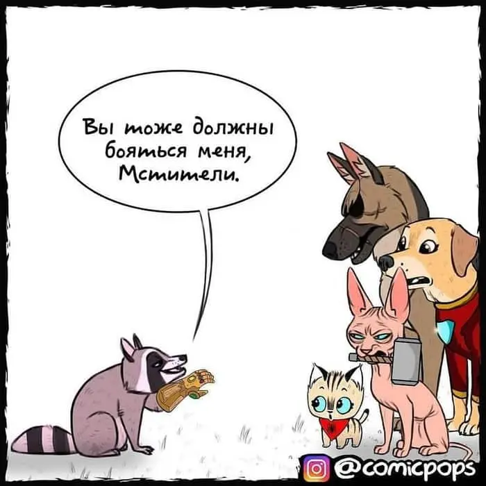 Страница 4