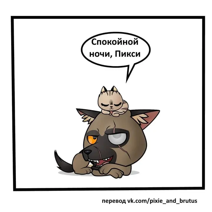 Страница 8