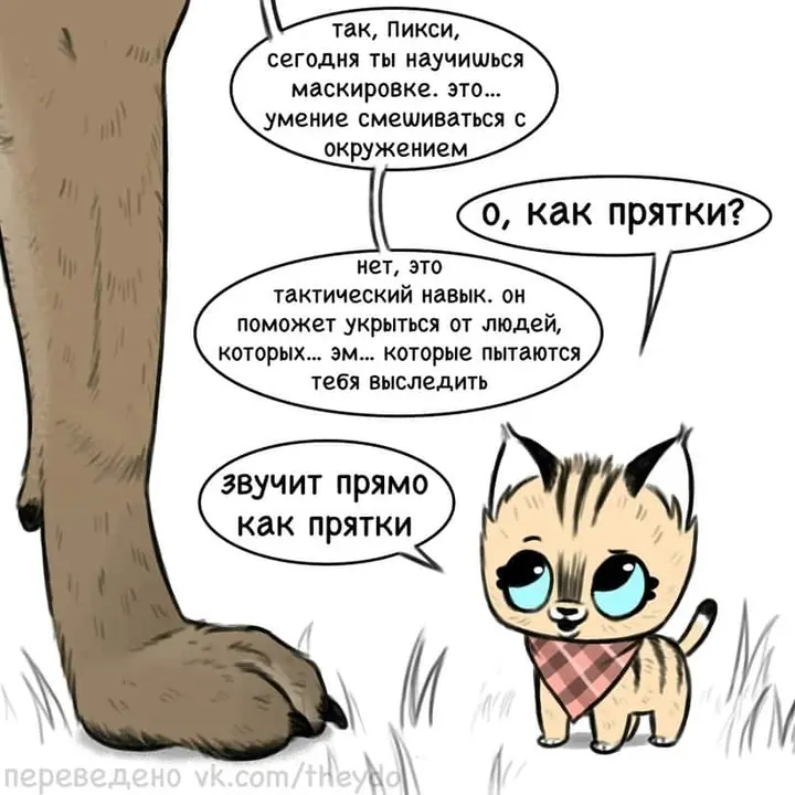 Страница 1