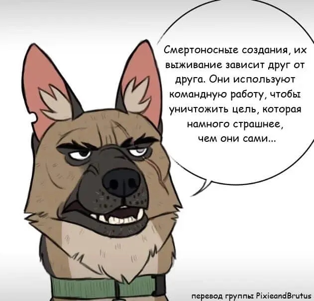 Страница 3