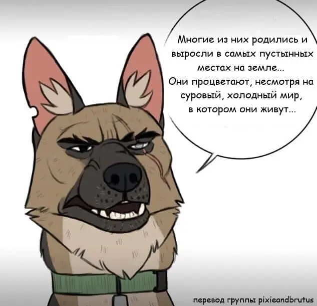Страница 4
