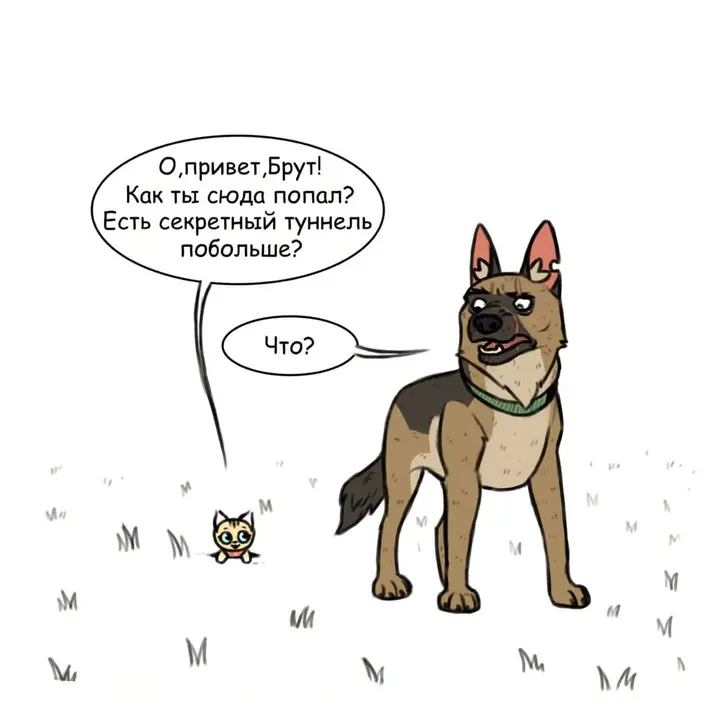 Страница 6