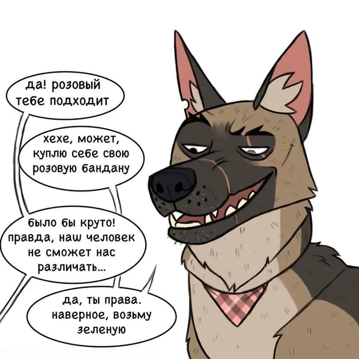 Страница 5