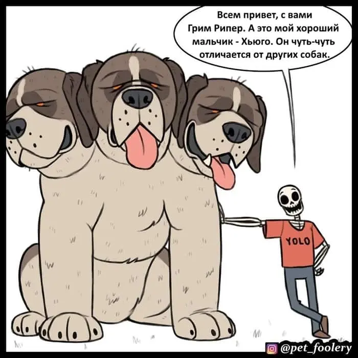 Страница 1