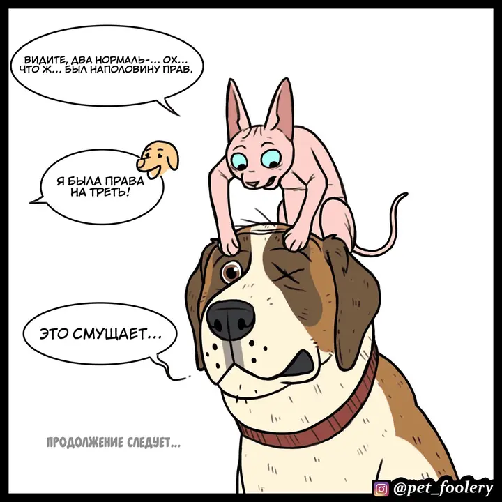 Страница 5