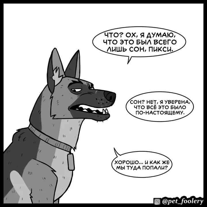 Страница 3