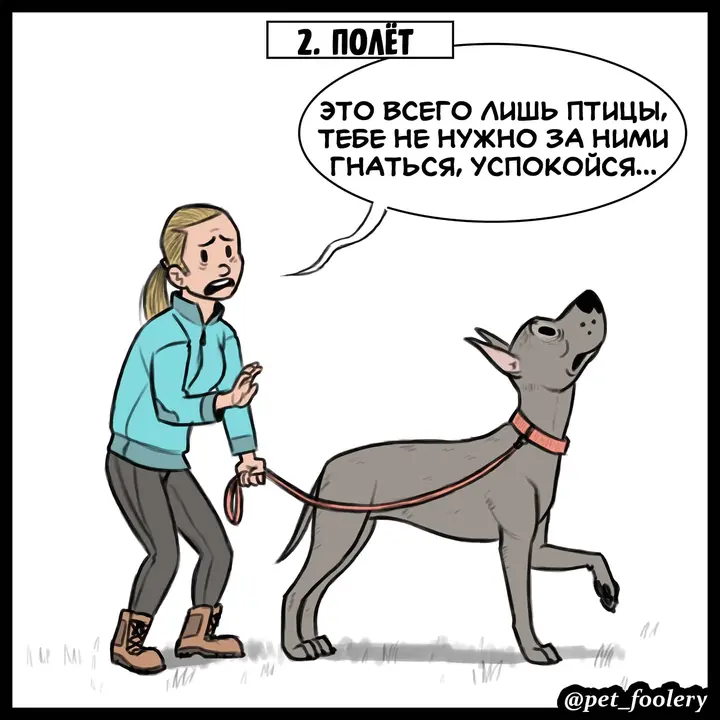 Страница 3