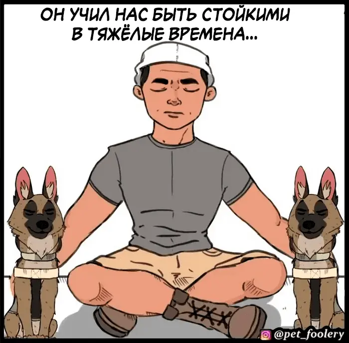 Страница 11