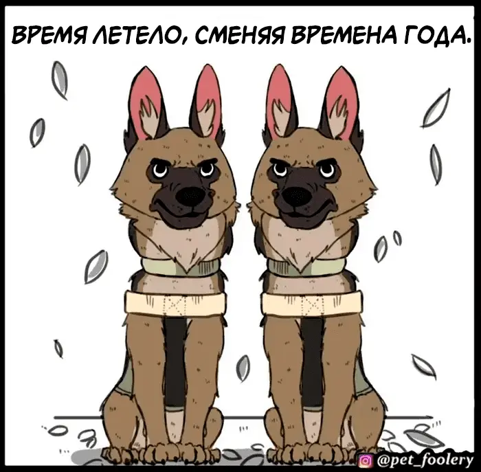 Страница 13