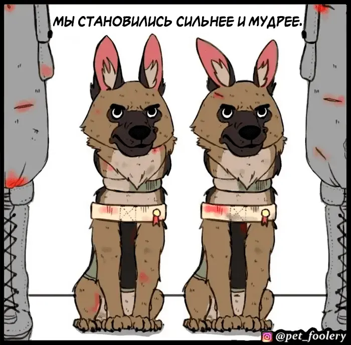 Страница 14