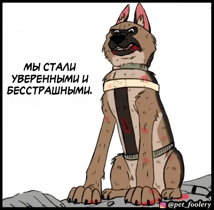 Страница 15