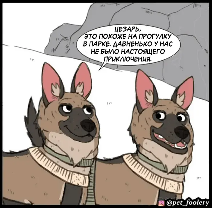 Страница 31