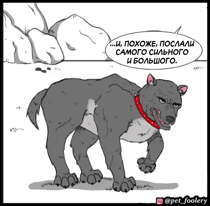 Страница 43