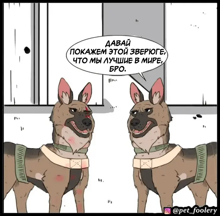 Страница 44