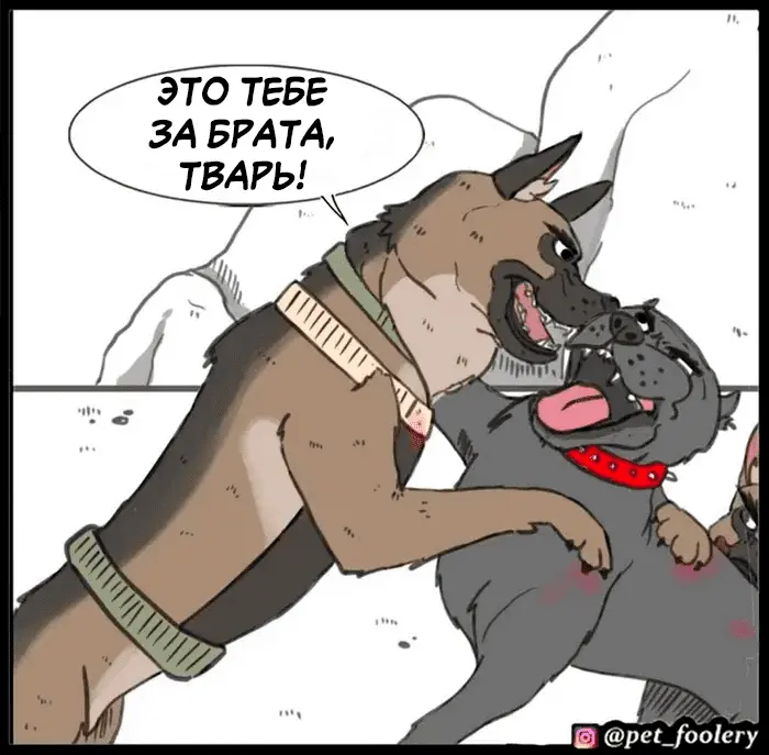 Страница 45