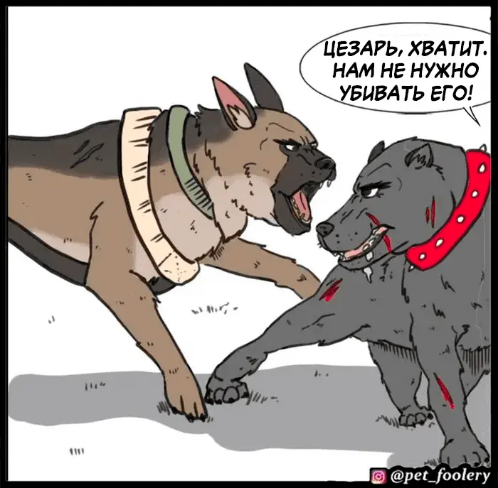 Страница 47