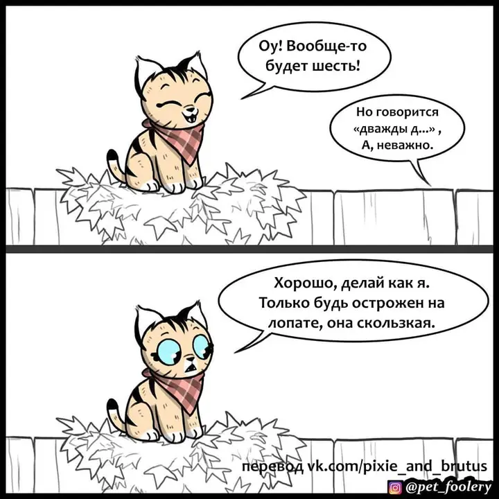 Страница 5