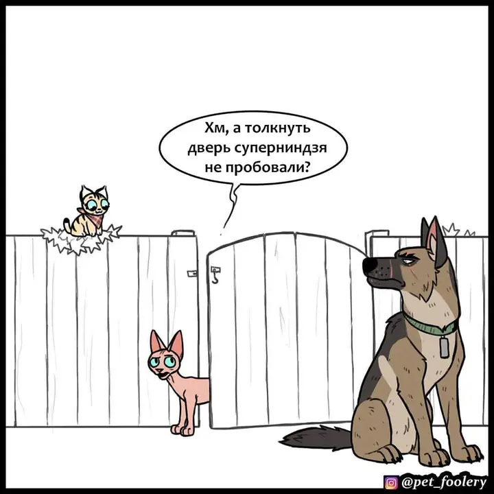 Страница 9