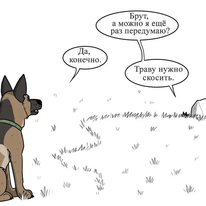 Страница 7