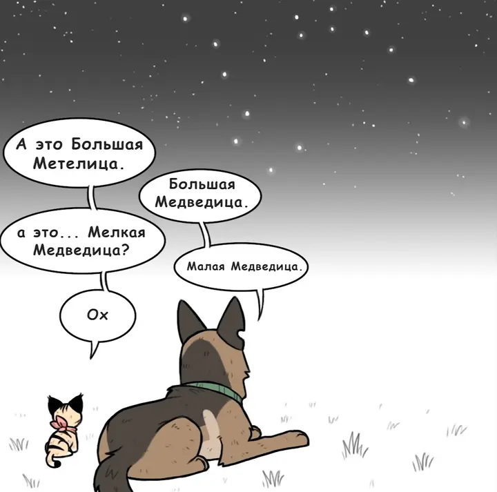 Страница 1