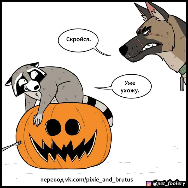 Страница 10