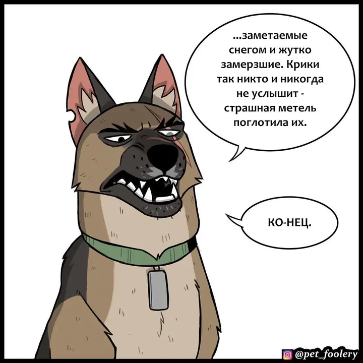 Страница 6